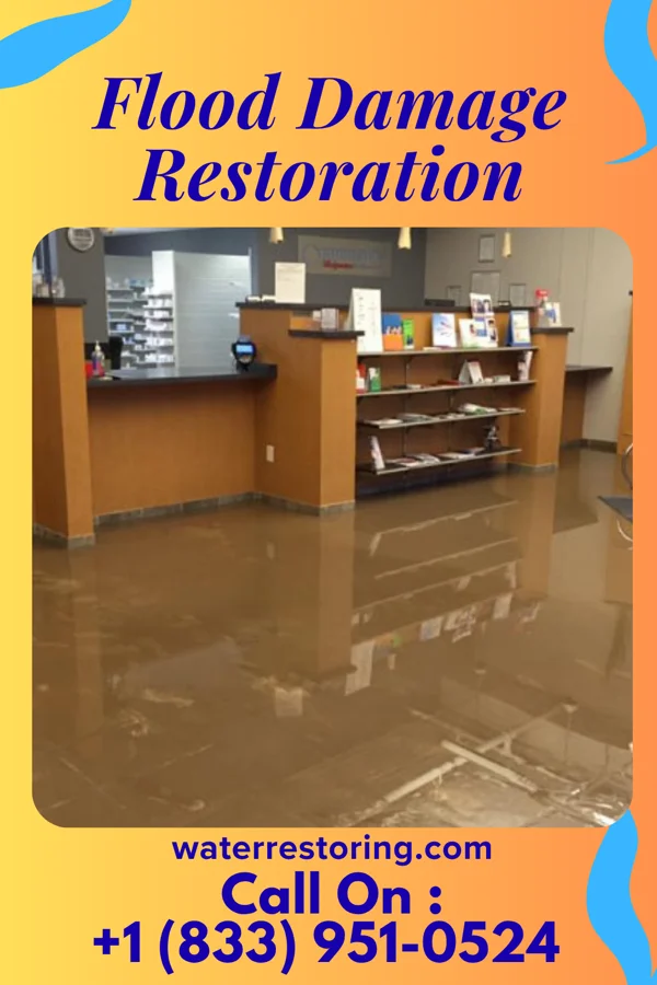Flood Damage Restoration in Jalapa, IN