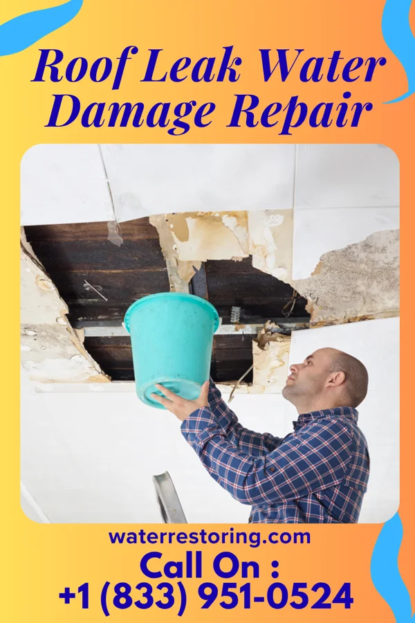 Roof Leak Water Damage Repair in Jalapa, IN