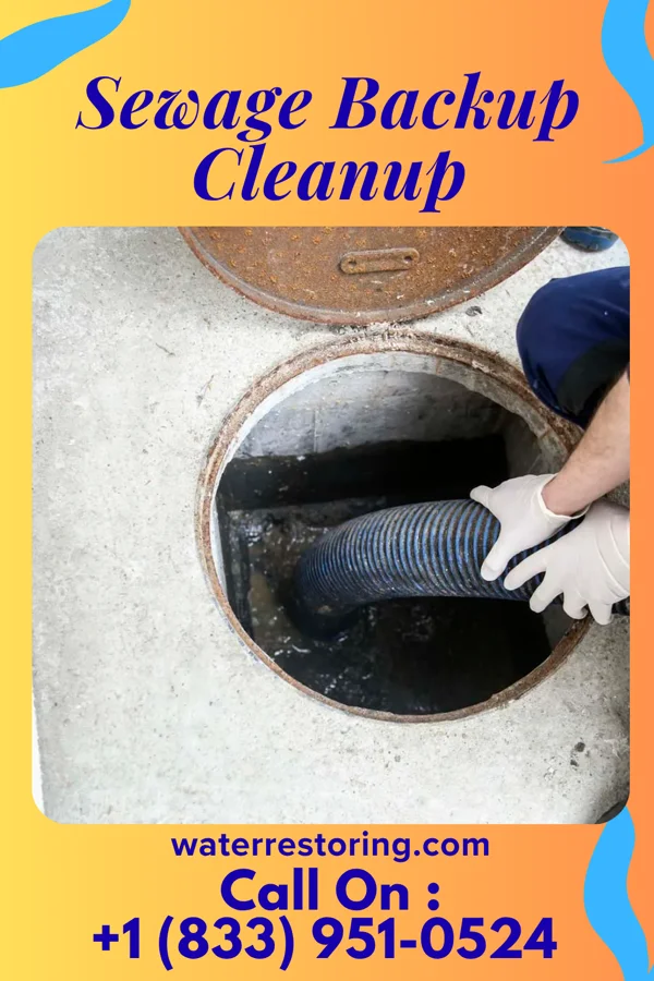 Sewage Backup Cleanup in Jalapa, IN