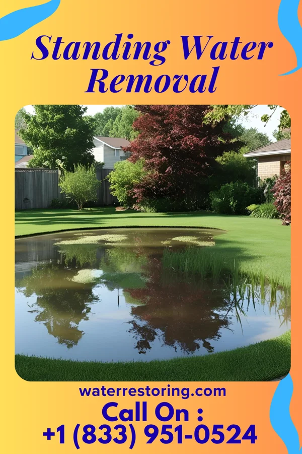 Standing Water Removal in Jalapa, IN